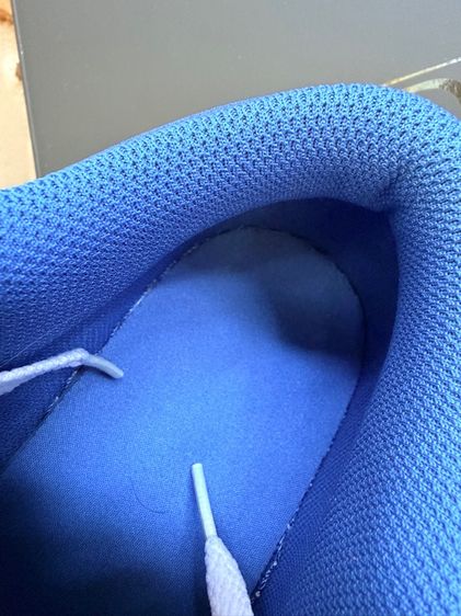 Air Jordan Low รูปที่ 9