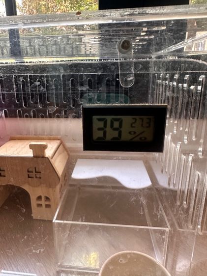 Hamster cage with feel and bedding and house รูปที่ 3