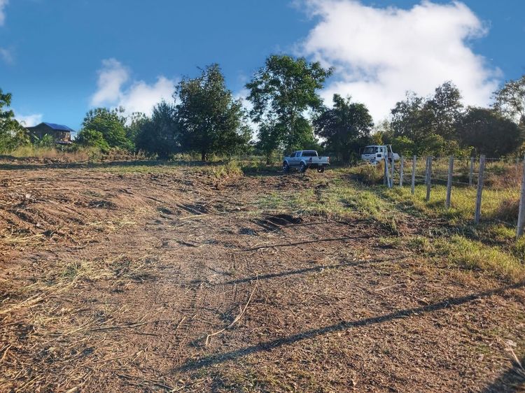 ขายที่ดิน อำเภอเมืองโคราช ถมแล้ว สวย ราคาถูก รูปที่ 3