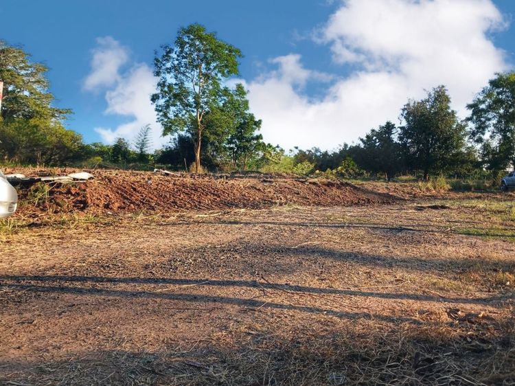 ขายที่ดิน อำเภอเมืองโคราช ถมแล้ว สวย ราคาถูก รูปที่ 2