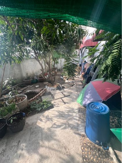 อื่นๆ 2011 มีบางส่วน ไม่ใช่ ขายบ้านหมุ่บ้านสยามนิเวศน์2ซอย17(บ้านหลังริม) รูปที่ 2