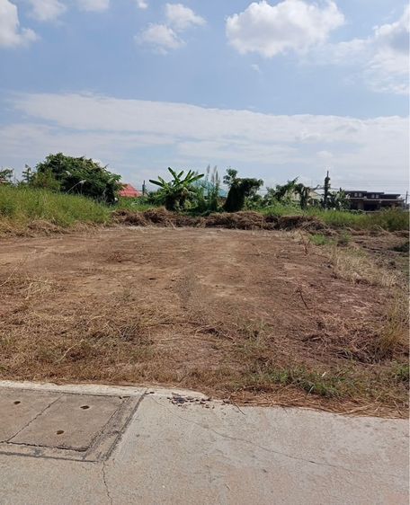 ขายที่ดินว่างเปล่า