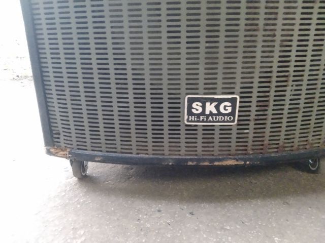 ลำโพง SKG (ดอก 15 นิ้ว) มีบลูทูธ รูปที่ 5