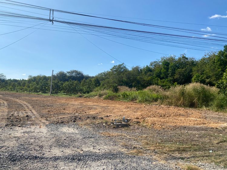 ให้เช่าที่ดินระยอง 4 ไร่ (ตำบล แม่น้ำคู่ อำเภอ ปลวกแดง จังหวัด ระยอง) รูปที่ 4