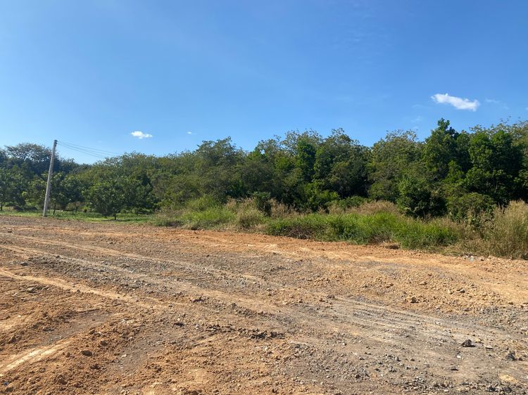 ให้เช่าที่ดินระยอง 4 ไร่ (ตำบล แม่น้ำคู่ อำเภอ ปลวกแดง จังหวัด ระยอง) รูปที่ 2