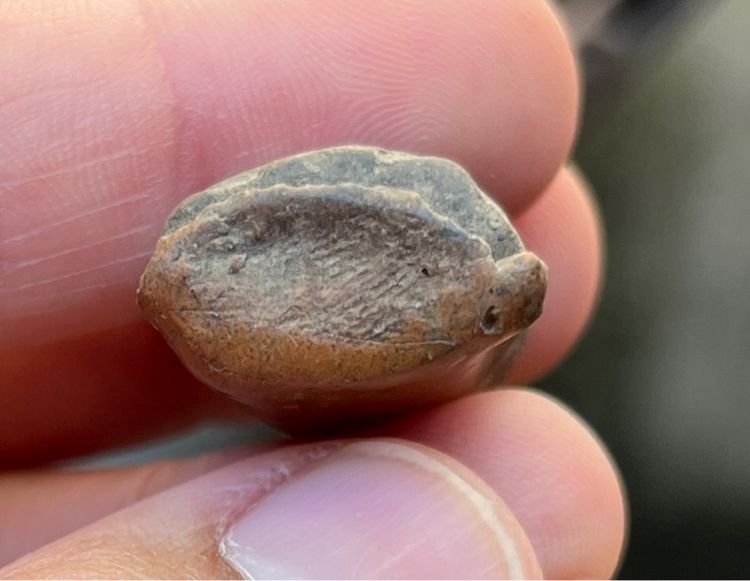 พระลือหน้ามงคล รูปที่ 4