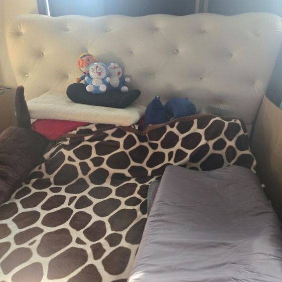 ขายเตียงพร้อมที่นอน5ฟุตมือสอง สภาพดี รูปที่ 2