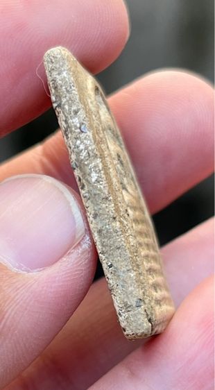 พระสมเด็จเกศไชโย รูปที่ 3