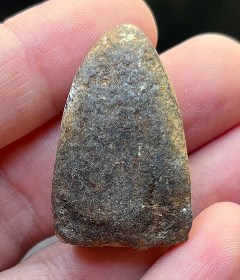 หลวงปู่ทวดเนื้อว่านเก่าๆ รูปที่ 2