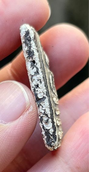 พระสมเด็จ รูปที่ 3