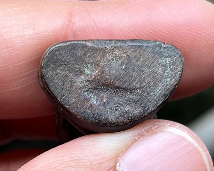 พระเชียงแสน รูปที่ 4