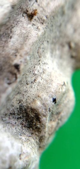 พระกรุวัดพลับ บางขุนพรหรม วัดระฆัง รูปที่ 4