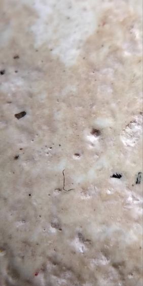 พระกรุวัดพลับ บางขุนพรหรม วัดระฆัง รูปที่ 12