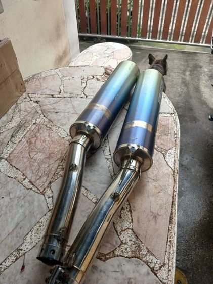 ท่อคู่ advancetage japan 15,000 รูปที่ 5