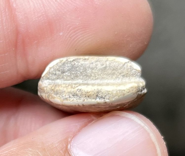 พระวัดพลับ รูปที่ 4