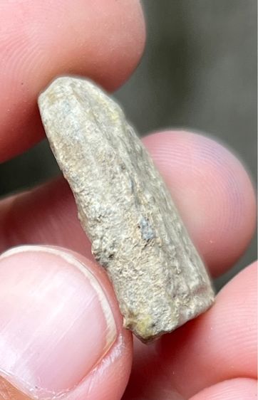 พระกรุท้ายตลาด รูปที่ 3