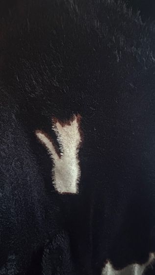 เสื้อแขนยาว รูปที่ 4