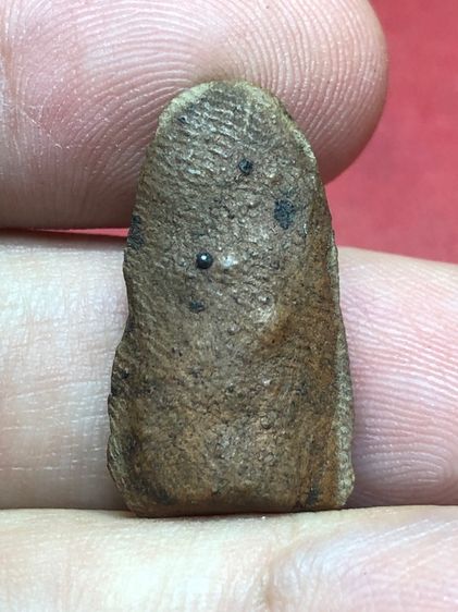 พระรอดมหาวัน รูปที่ 6