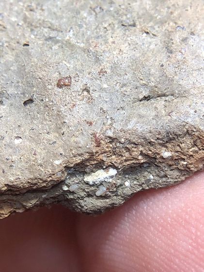 พระนารายณ์ปางปาฏิหาริย์เนื้อดิน รูปที่ 8