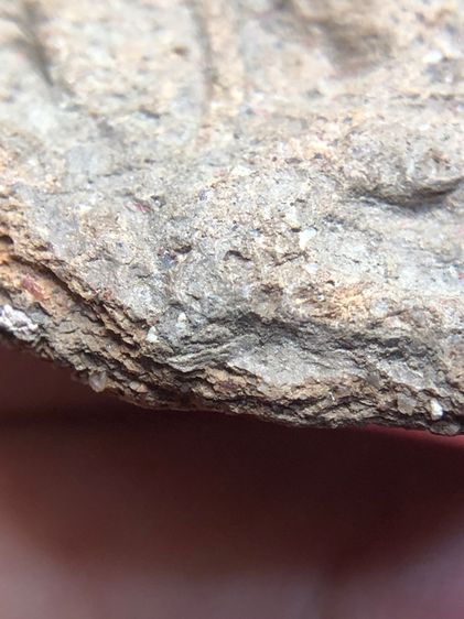 พระนารายณ์ปางปาฏิหาริย์เนื้อดิน รูปที่ 7