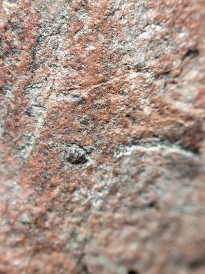 ❌ปิดครับ❌พระเลี่ยงลำพูนเนื้อแดงครับ รูปที่ 13