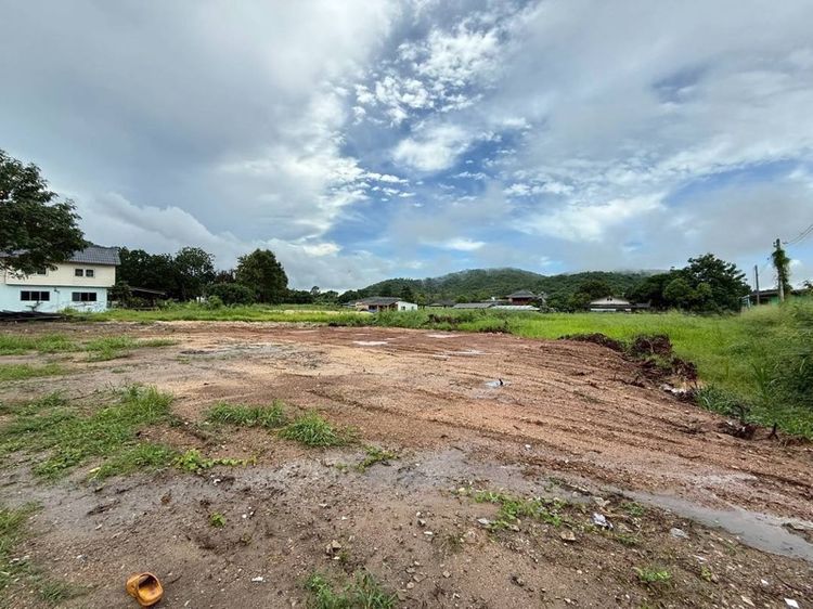 ใช่ ที่ดินสัตหีบ  รูปที่ 4