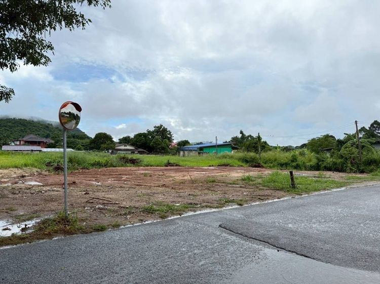 ใช่ ที่ดินสัตหีบ  รูปที่ 3