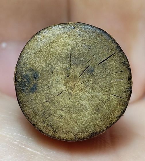 🎉ลิงเนืัอไม้แกะ หลวงพ่อดิ่ง วัดบางวัว🎉 รูปที่ 5