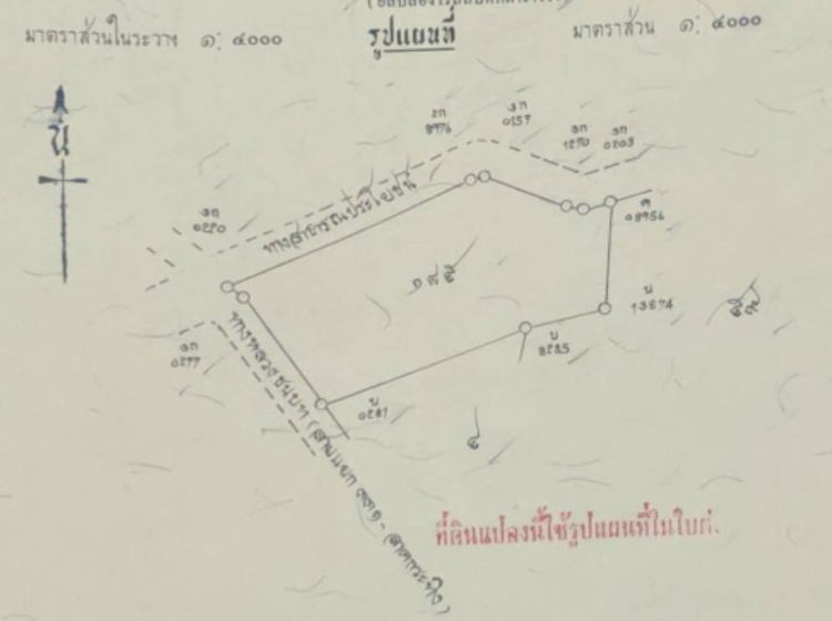 ขายที่ดินผืนงาม 22 ไร่เศษ ติดถนนใหญ่ โซนสีเหลือง อ.แปลงยาว ฉะเชิงเทรา (เขต EEC) – เหมาะแก่การลงทุน ท รูปที่ 4