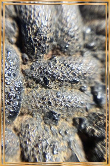 พิรอดเเขนหลวงพ่อม่วง วัดบ้านทวน รูปที่ 4