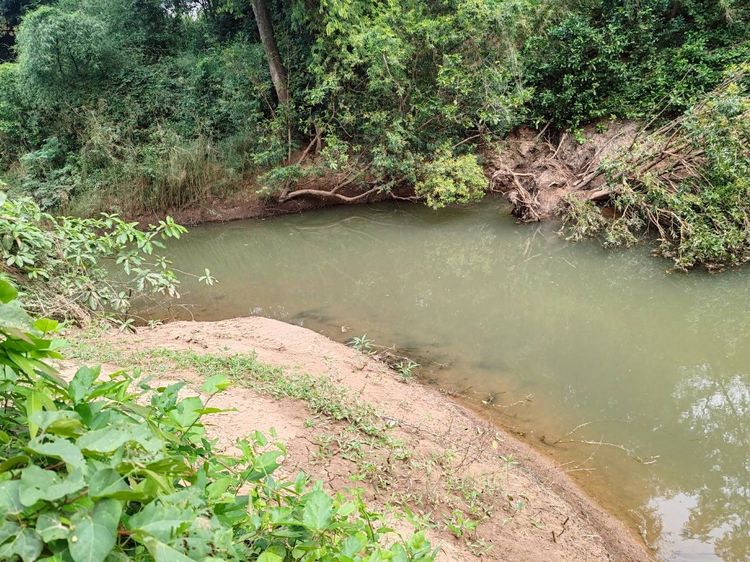 ที่ดินลพบุรี ลำสนธิ เหมาะทำบ้านสวน ลานกลางเต้น รูปที่ 2