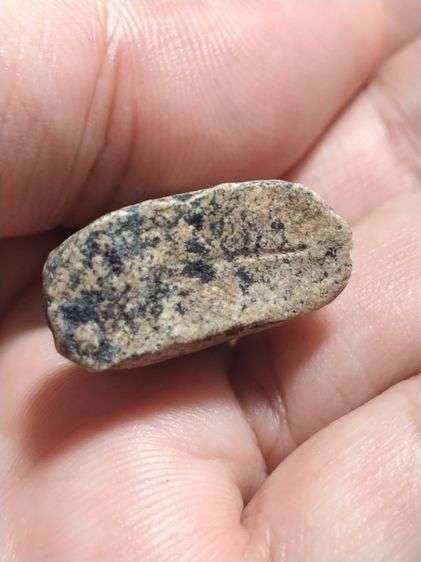 เก่าแวะมาดูครับ รูปที่ 5