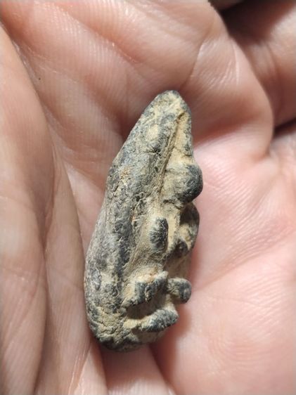 เก่าแวะมาดูครับ รูปที่ 3