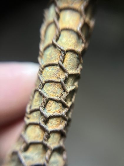 ตะกรุด 4.9 นิ้วเนื้อตะกั่วเลี่ยมเก่าไม่ทราบที่(มีสินค้าหลายรายการกดเข้ามาดูในโปรไฟล์ได้เลยครับ) รูปที่ 10