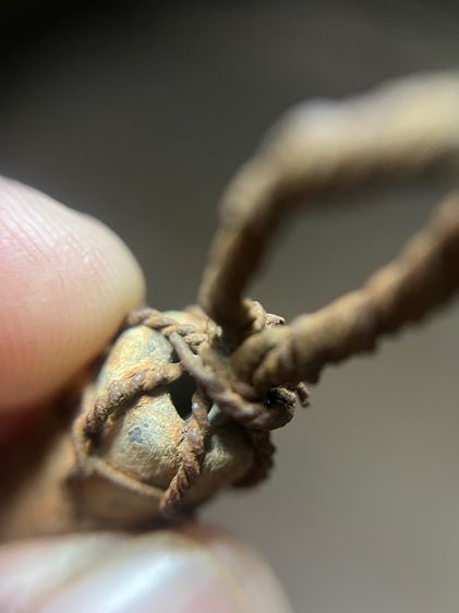 ตะกรุด 4.9 นิ้วเนื้อตะกั่วเลี่ยมเก่าไม่ทราบที่(มีสินค้าหลายรายการกดเข้ามาดูในโปรไฟล์ได้เลยครับ) รูปที่ 3