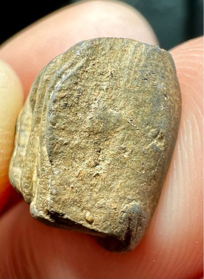 พระรอด วัดมหาวัน พิมพ์เล็ก เขียวหินครก  รูปที่ 10