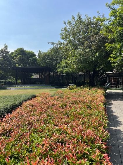 For Rent 20000Baht per month