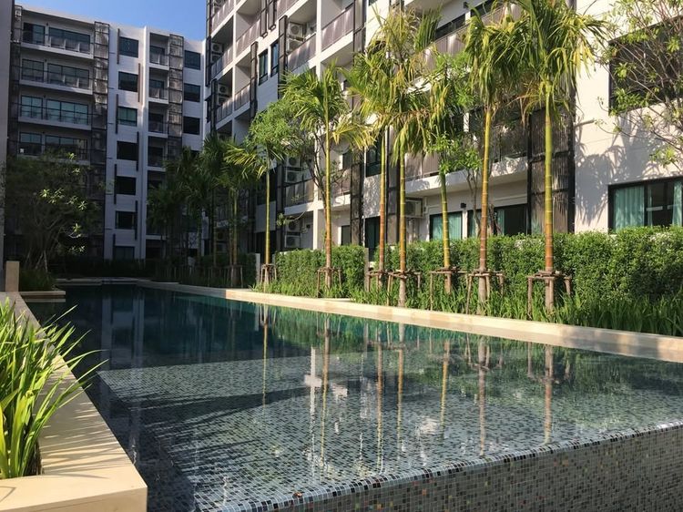 ขายคอนโด ดิ อิสระ เชียงใหม่ - Chiangmai Condominium for sale 
