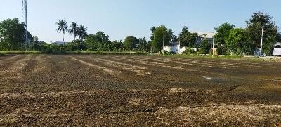 ที่ดิน สาย5 4ไร่1งาน