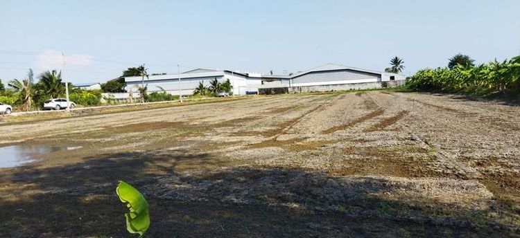 ที่ดิน สาย5 4ไร่1งาน รูปที่ 2