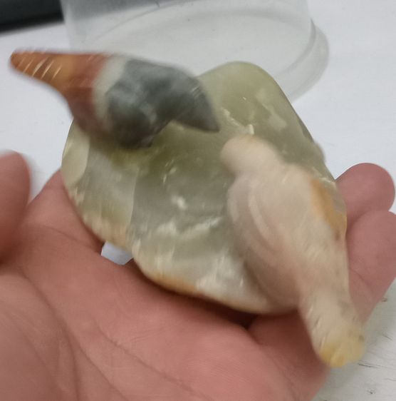 3015-นกสาริกาคู่เนื้อหินแกะ หลวงพ่อสนิท วัดลำบัวลอย ขนาดความกว้างสุด 4.5 นิ้ว สูงรวมประมาณ 2 นิ้ว รูปที่ 12