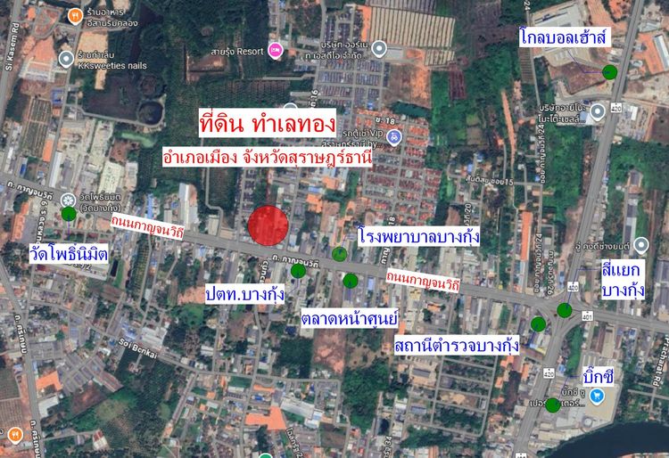 ขายที่ดิน ทำเลทอง บางกุ้ง สุราษฎร์ธานี รูปที่ 2