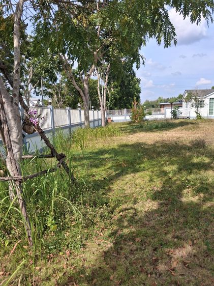 ตกแต่งครบ 2023 บ้านเดี่ยว รูปที่ 3