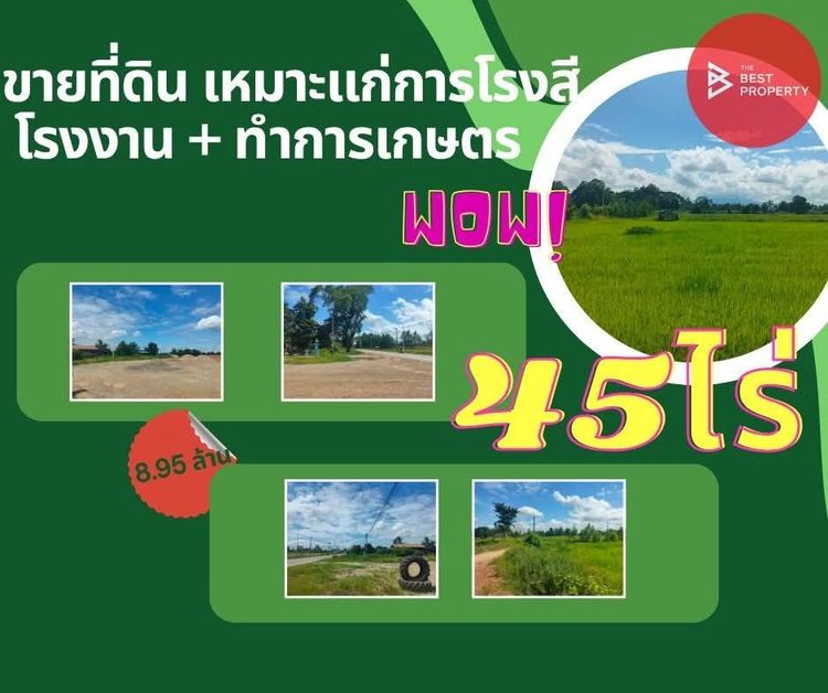 ที่ดิน 45 ไร่ ติดถนน อำเภอกงไกรลาศ รูปที่ 3