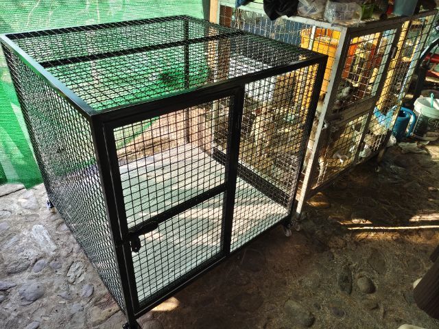 กรงสุนัข ขนาด ก100 cm.ย.100 cm ส.100 cm สินค้าสามารถสั่งทำตามขนาดได้ รูปที่ 2