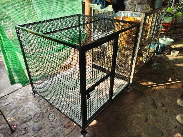 กรงสุนัข ขนาด ก100 cm.ย.100 cm ส.100 cm สินค้าสามารถสั่งทำตามขนาดได้ รูปที่ 3
