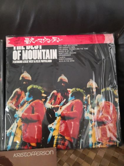 แผ่นเสียง​ รูปที่ 3