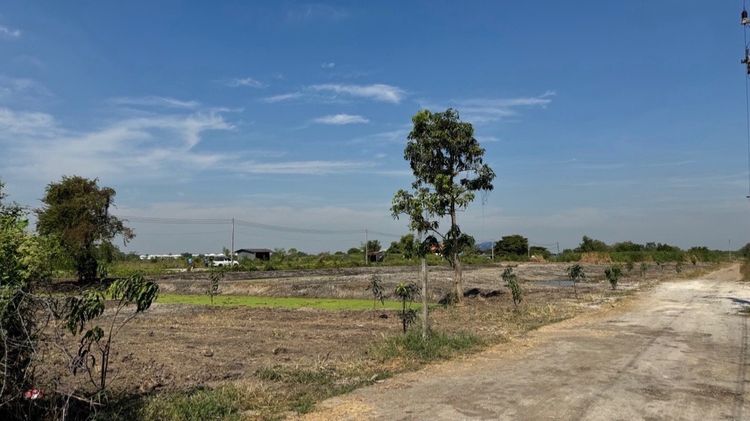 ขายที่ดิน 5 ไร่ ลำลูกกา คลอง 12 ทำเลดี ติดแหล่งชุมชน