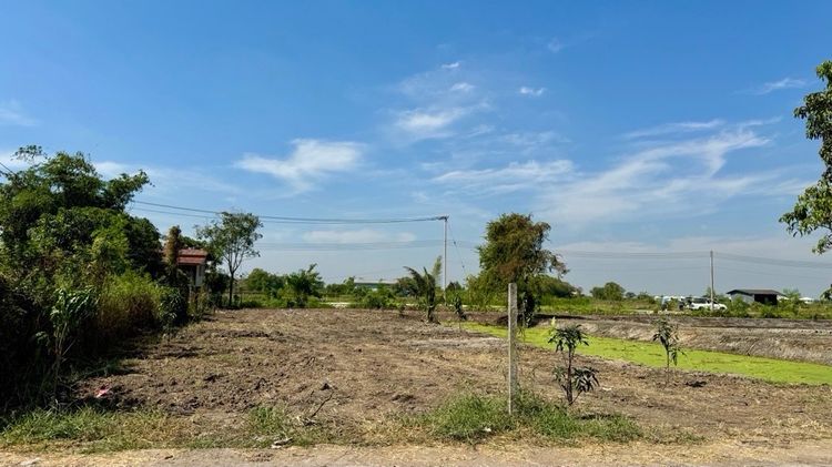 ขายที่ดิน 5 ไร่ ลำลูกกา คลอง 12 ทำเลดี ติดแหล่งชุมชน รูปที่ 4