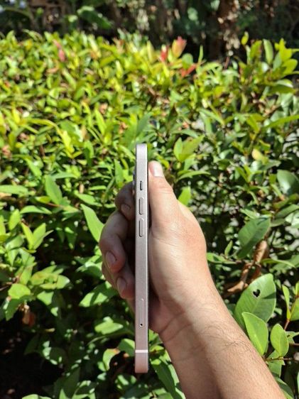 IPhone  13 128GB Pink รูปที่ 7